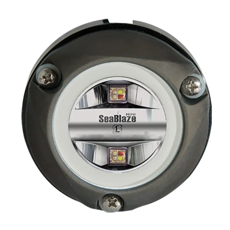 Lumitec Zambezi Mini Rgbw Underwater Light With Pli Support 1